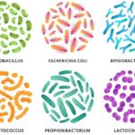 Microbiome Ulcerative Colitis