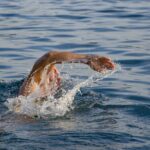 swimming for ulcerative colitis