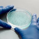 Gut Bacteria Research